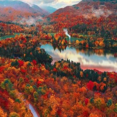 必赢亚洲手机app下载