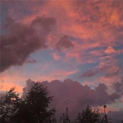 台湾福星彩下载手机版