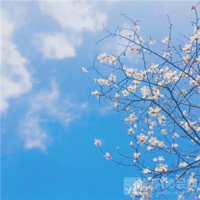 千亿国际app下载