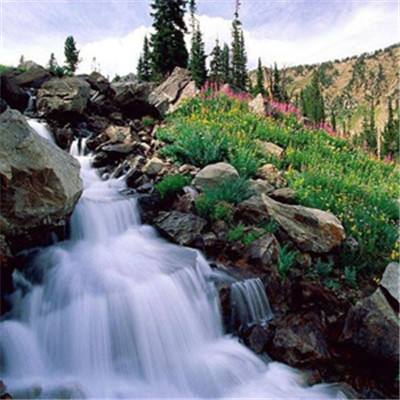 球探手机app下载