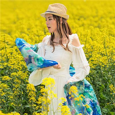 BOB体育综合app官网入口